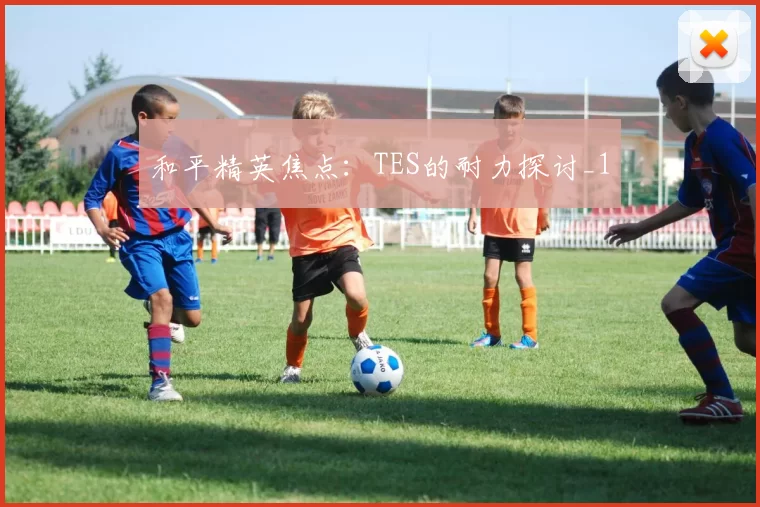 和平精英焦点：TES的耐力探讨_1