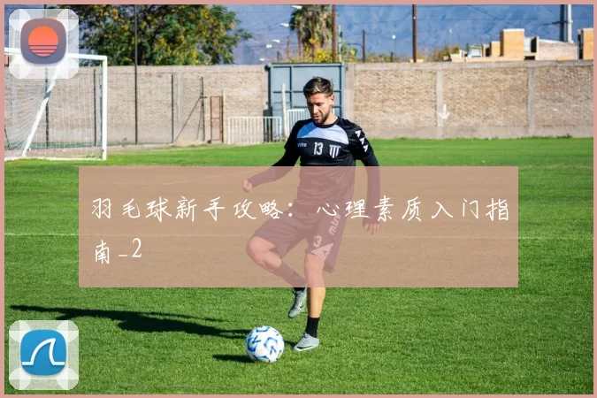 羽毛球新手攻略：心理素质入门指南_2